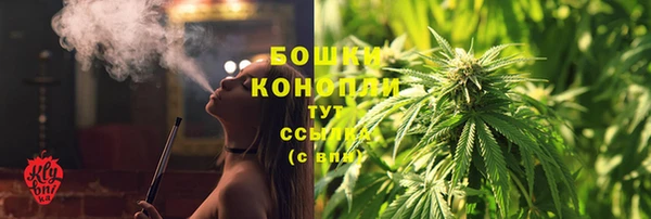 прущие грибы Протвино